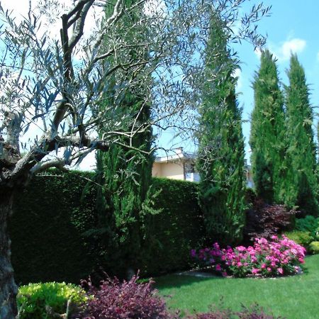 Ai Cipressi B&B Mestrino ภายนอก รูปภาพ